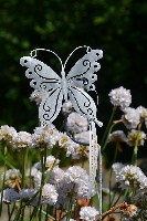 Countryfield bloemsteker vlinder