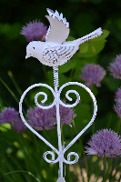 Countryfield bloemsteker, vogel wit
