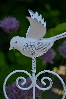 Countryfield bloemsteker, vogel wit