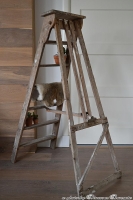 Oude ladder