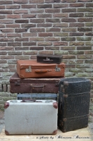Koffer grijs/bruin