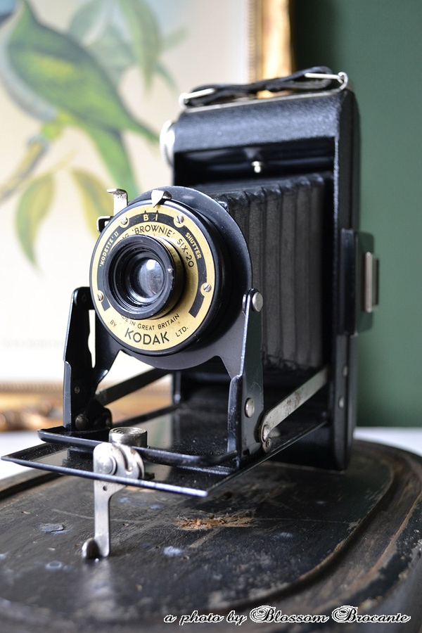 Fototoestel / camera “Kodak Folding Brownie”