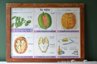 Schoolplaat, Le Noix & La Betterave et le Sucre