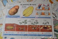 Schoolplaat, La Pomme de Terre & L'Huile