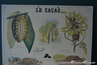Franse schoolplaat "Le cacao"