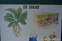 Franse schoolplaat "Le Sucre"