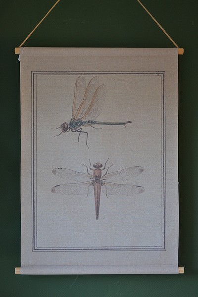 Wandkaart libelle