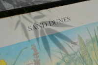 Schoolplaat “Sand Dunes”