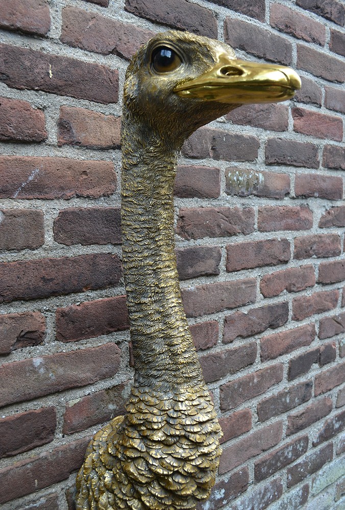 Wanddecoratie struisvogel