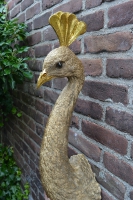 Wanddecoratie pauw