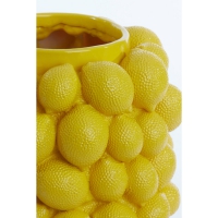 Vaas Lemon L