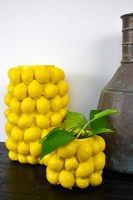 Vaas Lemon M