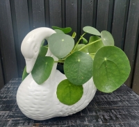 Vintage bloempot zwaan