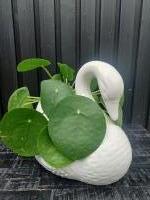 Vintage bloempot zwaan