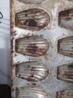 Madeleines bakvorm