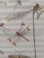 Wandkaart libelle #2