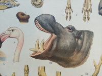 Schoolplaat "In de Rimboe"