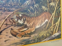 Schoolplaat "In de Rimboe"