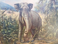 Schoolplaat "In de Rimboe"