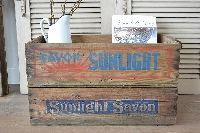 Sunlight kist #1